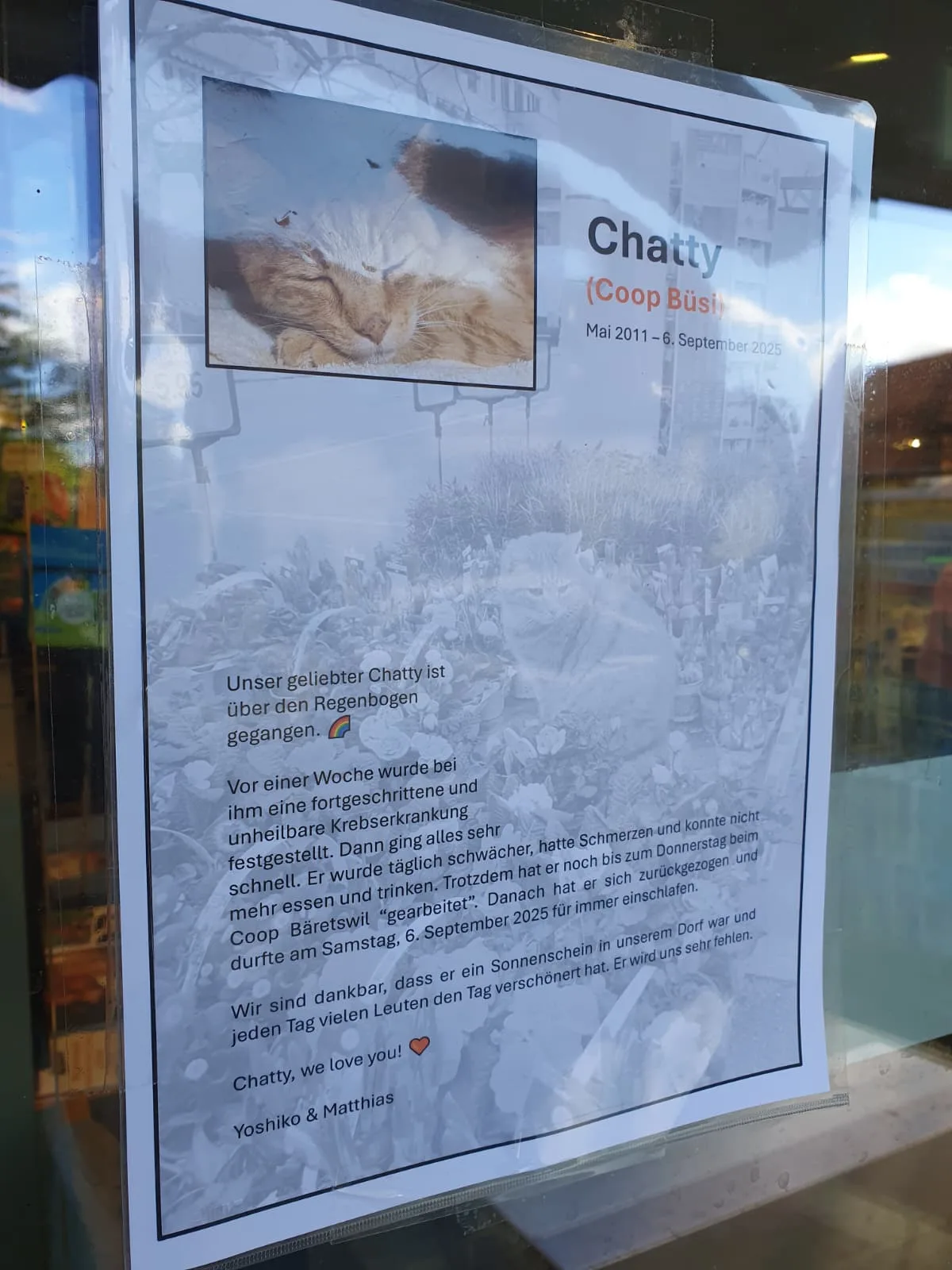 grosse Anteilnahme am Tod von Coop-Büsi Chatty